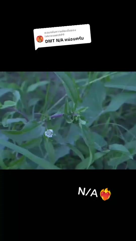 TikTok video thumbnail by fc.na46