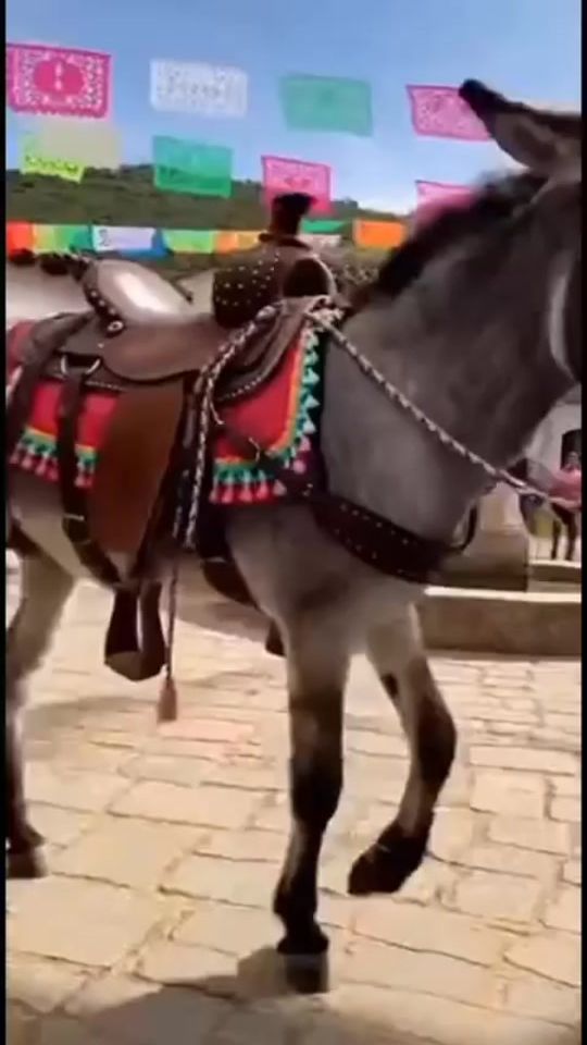 TikTok video thumbnail by foued318