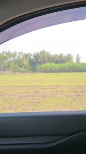 TikTok video thumbnail by chenda1717