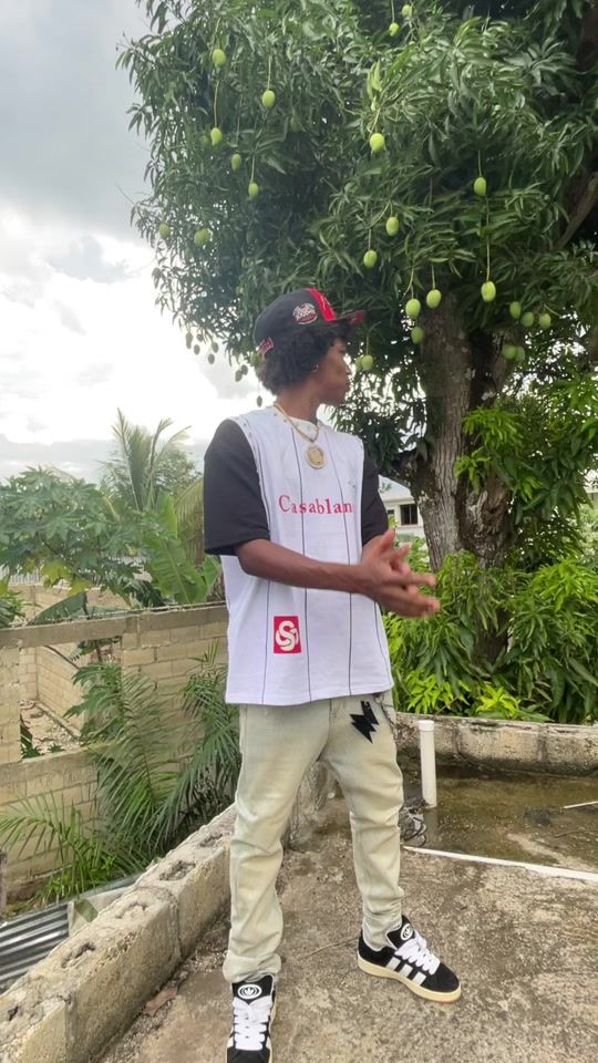 TikTok video thumbnail by vayan_boy