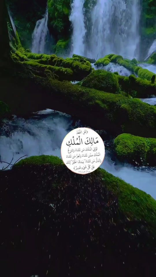 TikTok video thumbnail by user853732072