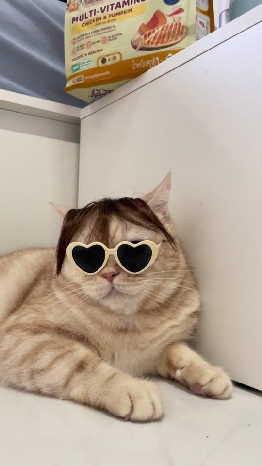 TikTok video thumbnail by acatmarvel