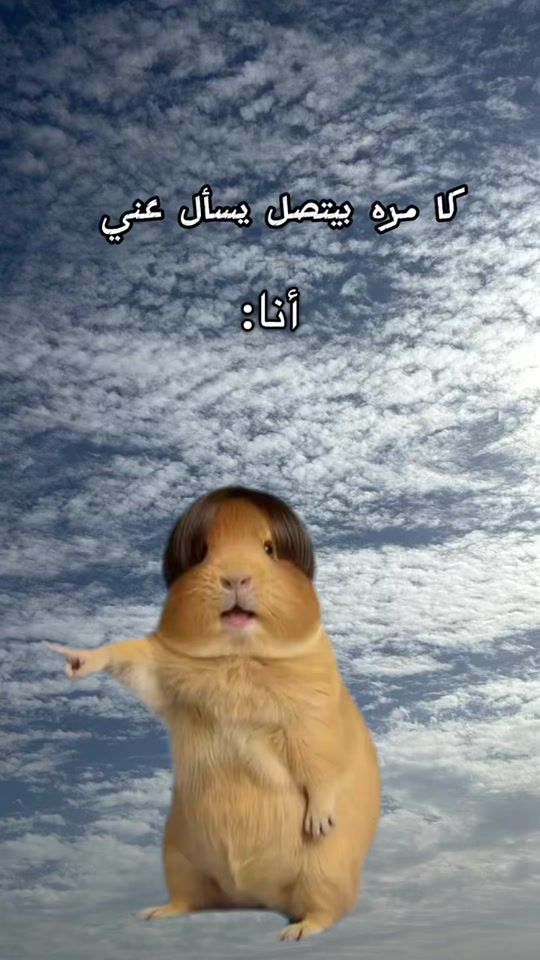 TikTok video thumbnail by noor_naim87