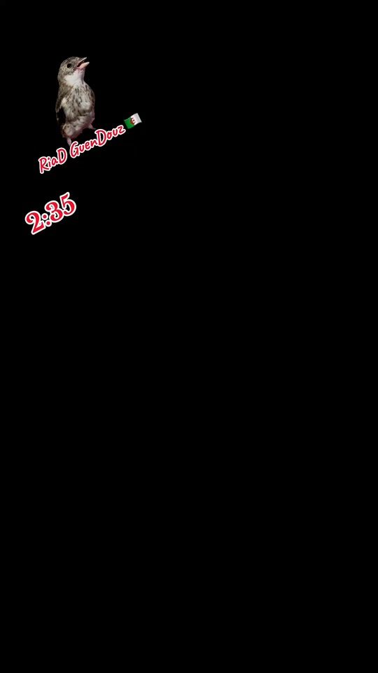 TikTok video thumbnail by riad_guendouz_730_