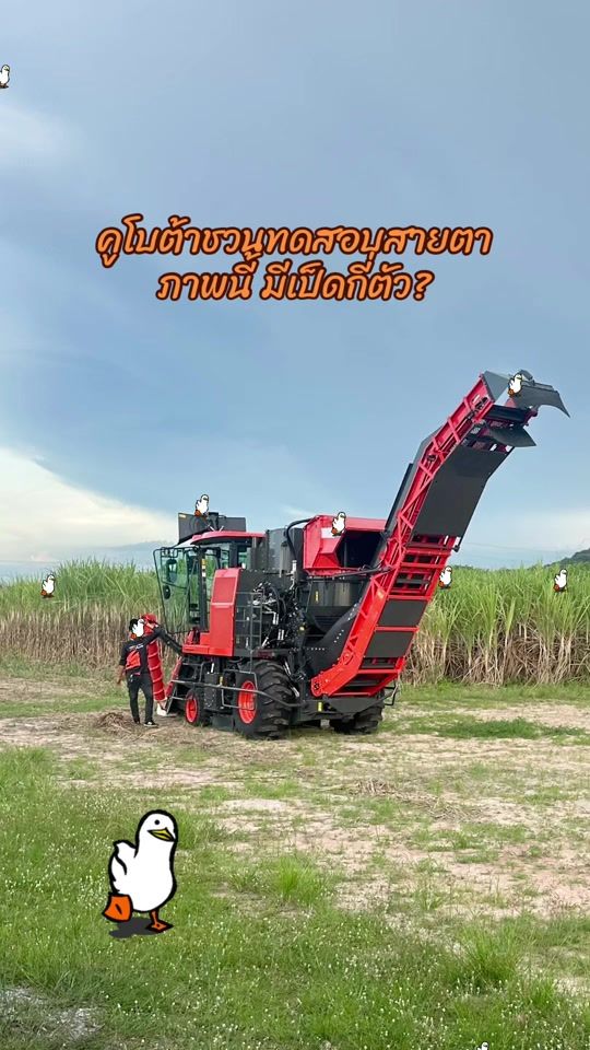 TikTok video thumbnail by siamkubota