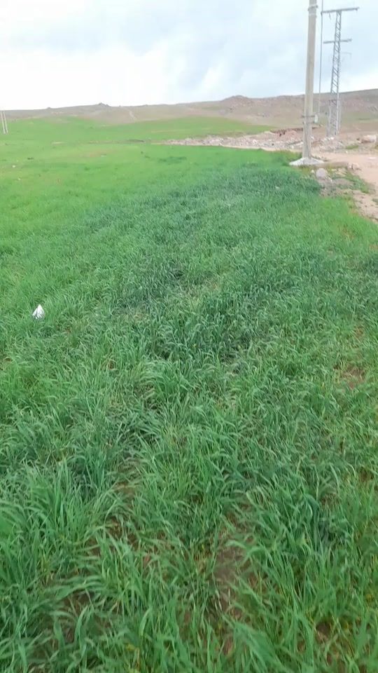TikTok video thumbnail by jawad.bomuia.bo