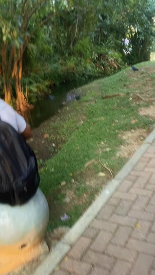 TikTok video thumbnail by jafran001