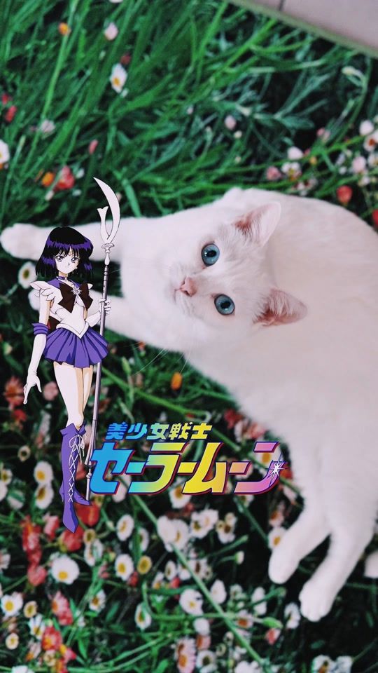TikTok video thumbnail by kira_h.p