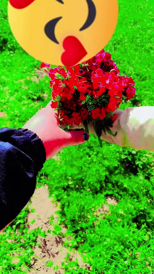 TikTok video thumbnail by .sh49457