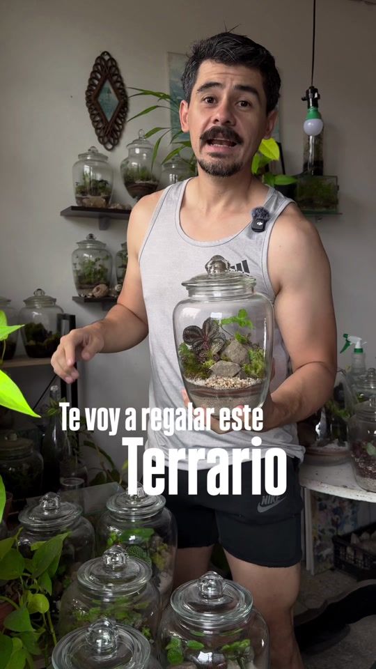 TikTok video thumbnail by onlyplants503