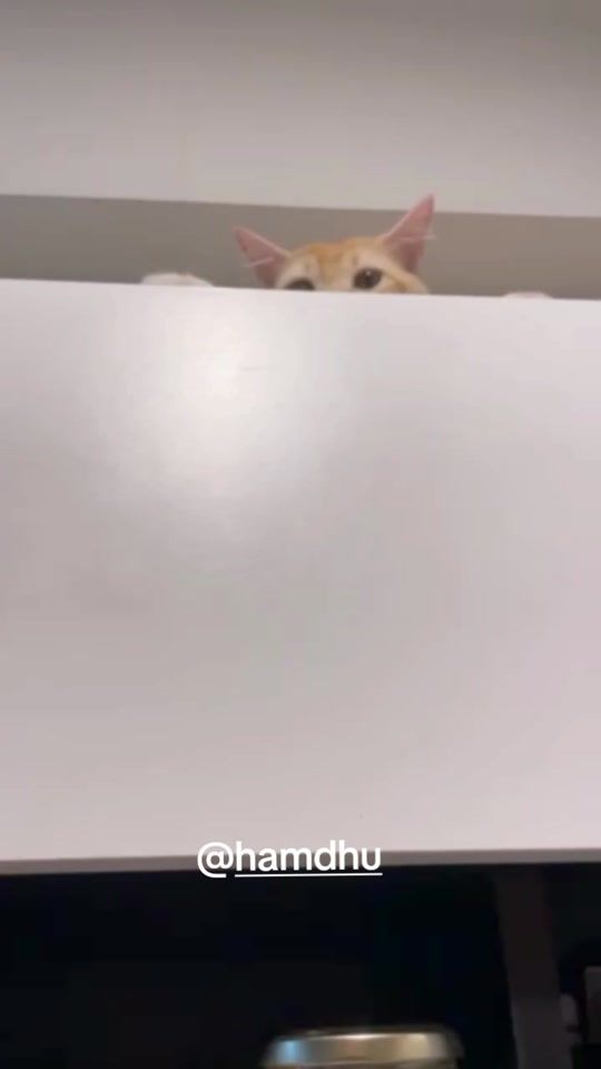 TikTok video thumbnail by fathmathfazna123