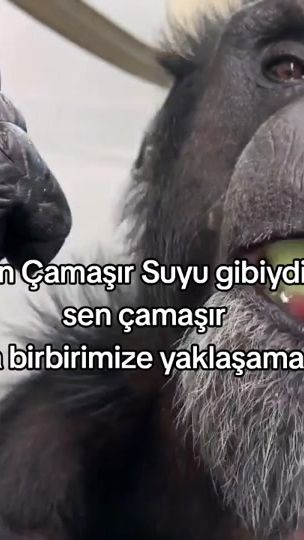 TikTok video thumbnail by rollandios