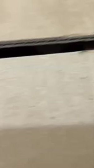 TikTok video thumbnail by carnivalexpress