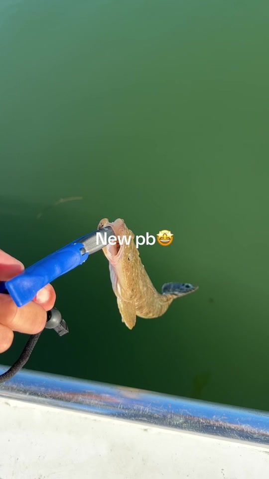 TikTok video thumbnail by wills.boat