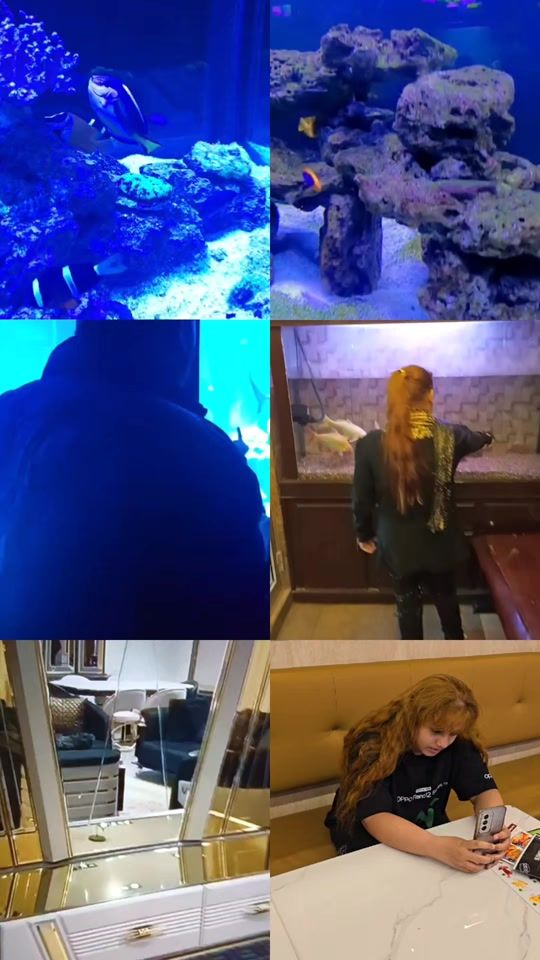 TikTok video thumbnail by masterofeveryart
