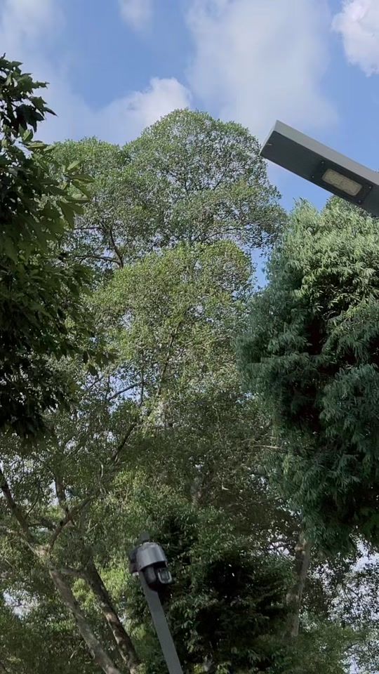 TikTok video thumbnail by kasani_boy