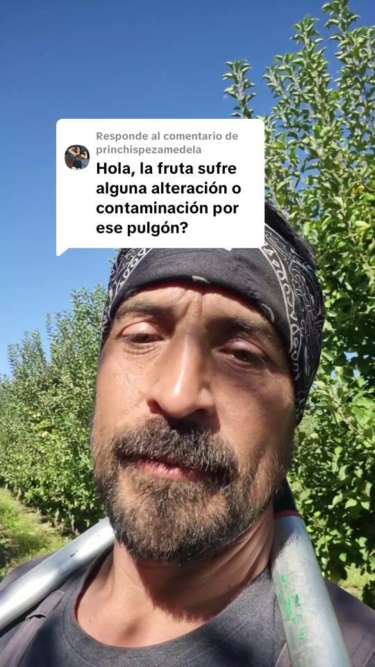 TikTok video thumbnail by carlosgyllenfigue