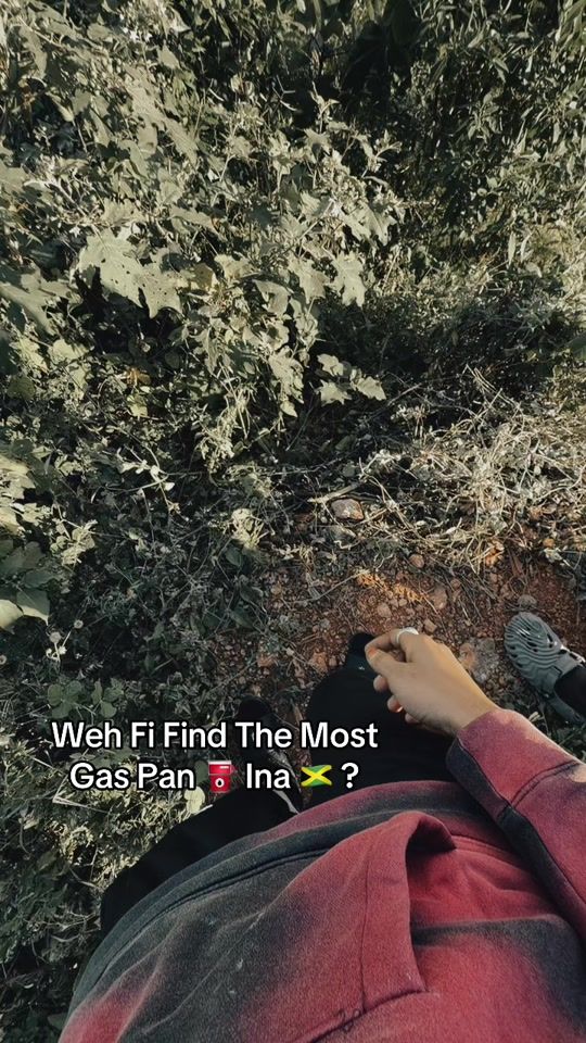 TikTok video thumbnail by westbankgad6
