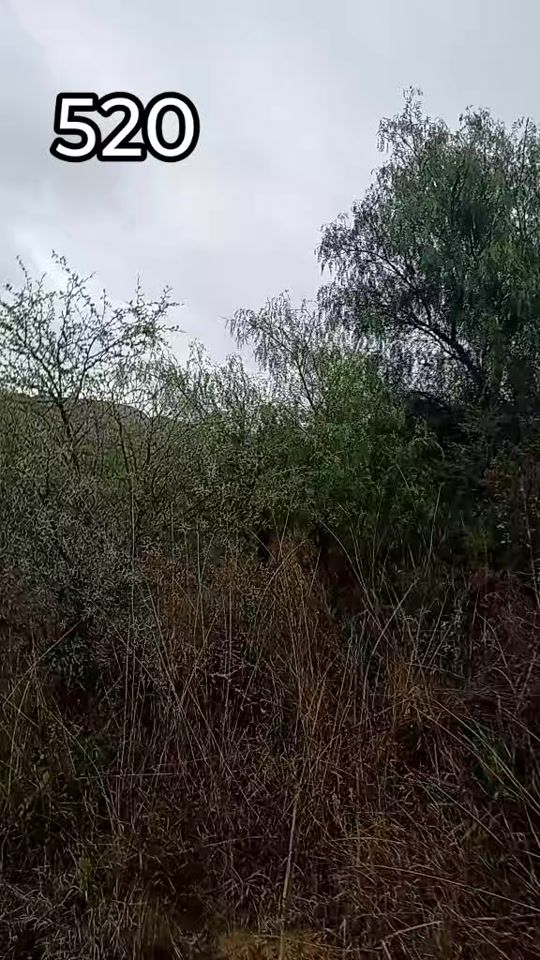 TikTok video thumbnail by davidrogersa