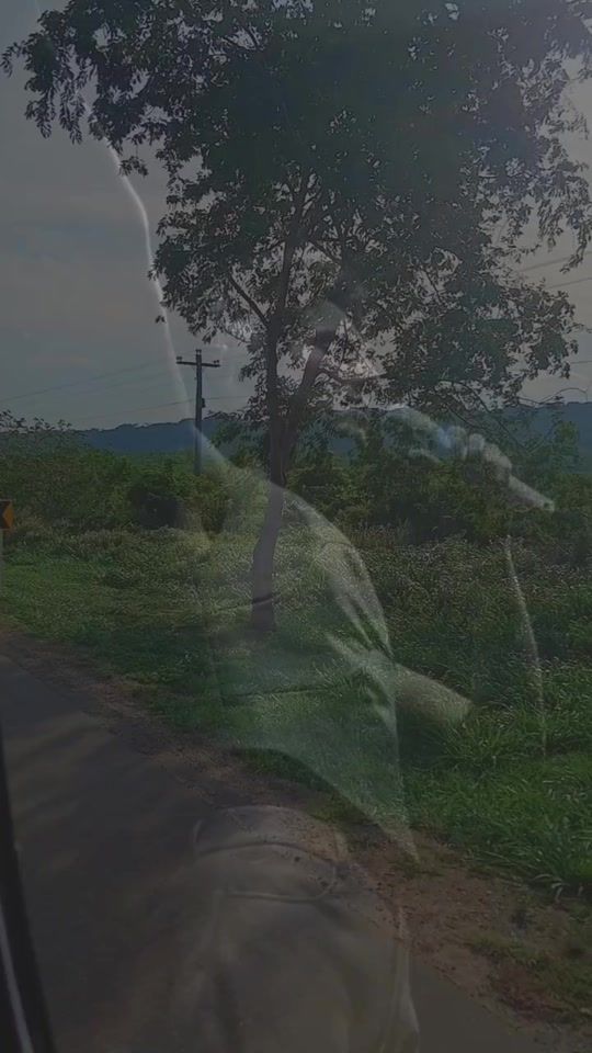 TikTok video thumbnail by anarodas85