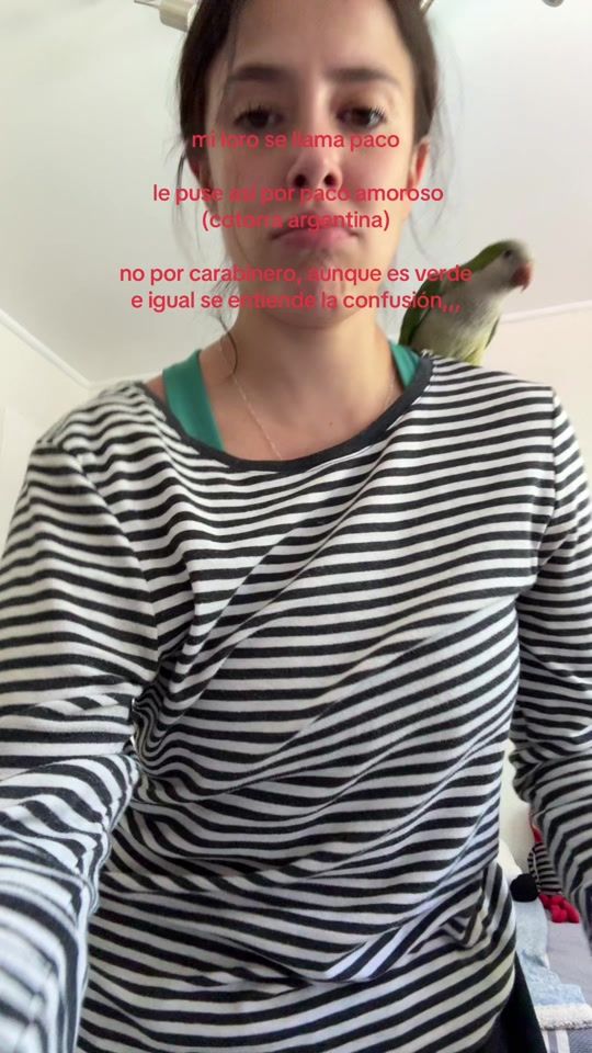 TikTok video thumbnail by caaaalico