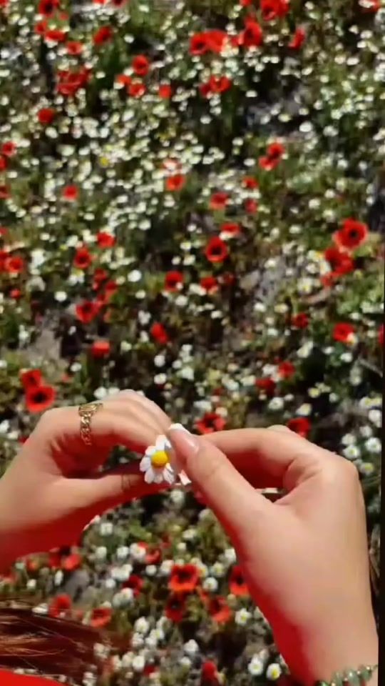 TikTok video thumbnail by gozlereasiq050