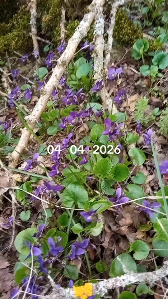 TikTok video thumbnail by rizvan.043