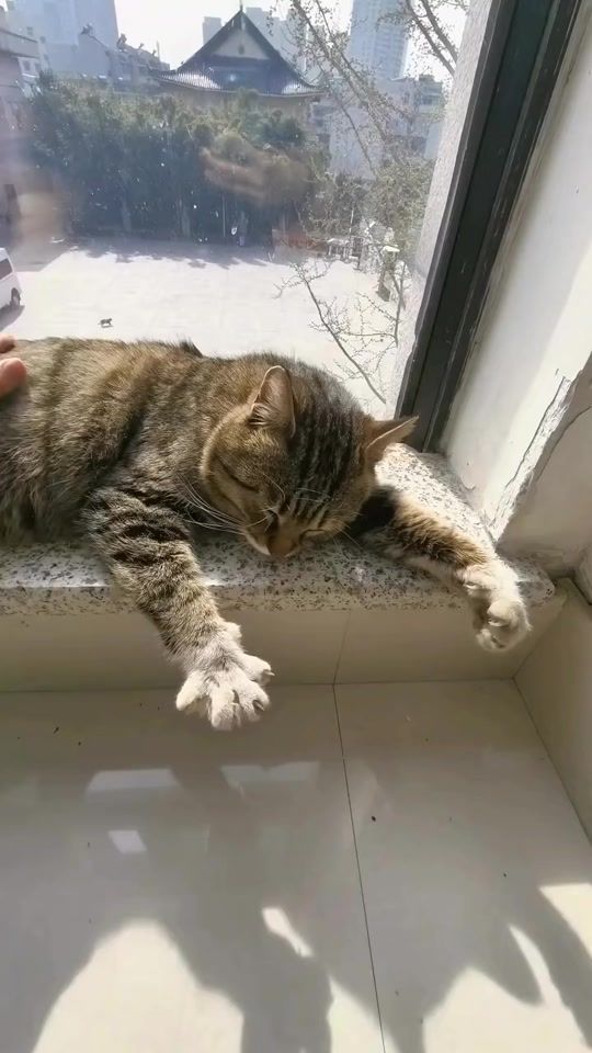 TikTok video thumbnail by katikatcooo