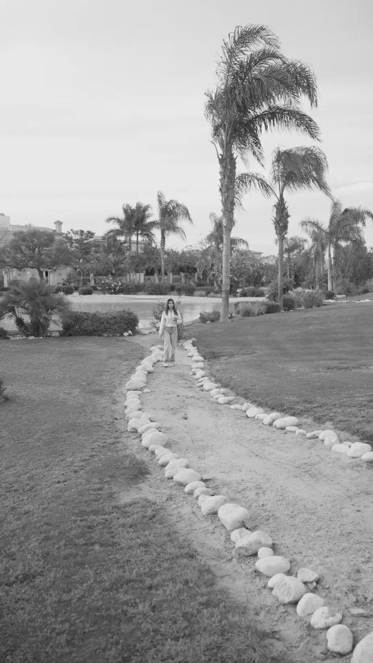 TikTok video thumbnail by elmalky.co