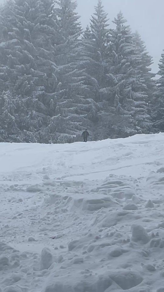 TikTok video thumbnail by polarpursuit