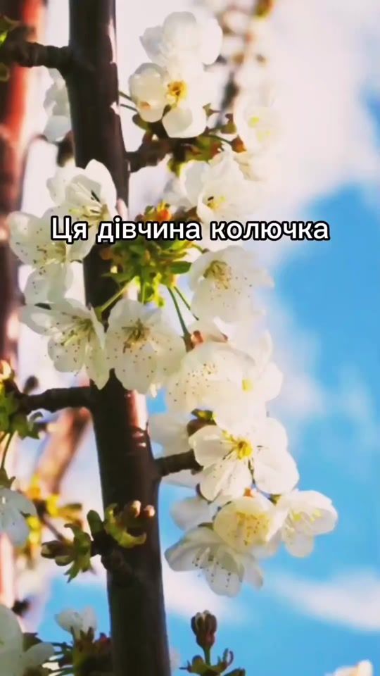 TikTok video thumbnail by margarita20_27