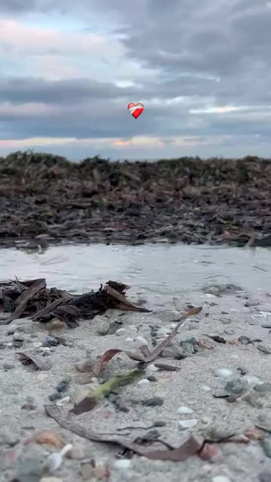 TikTok video thumbnail by anware_bouzouita