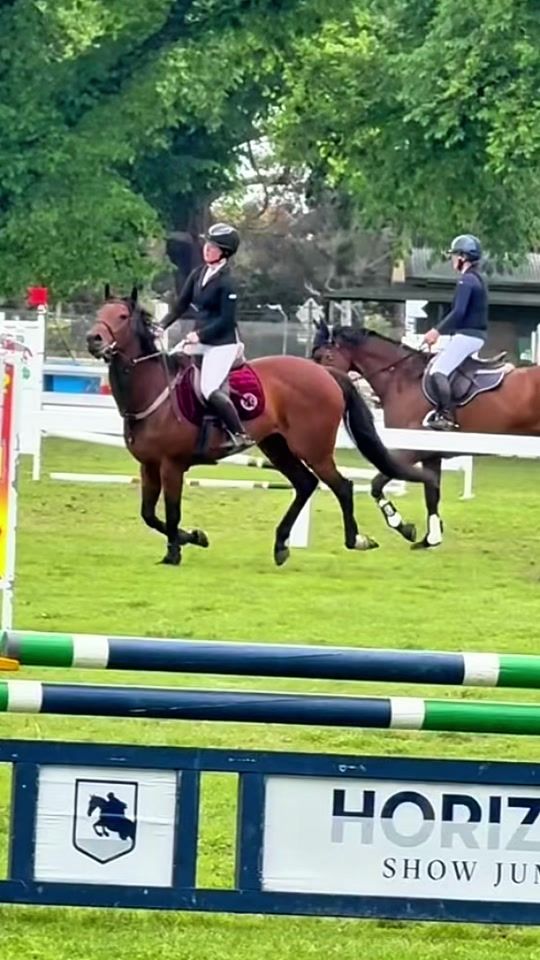 TikTok video thumbnail by lyssa_showjumping