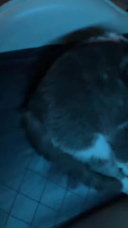 TikTok video thumbnail by aymanyzaman0