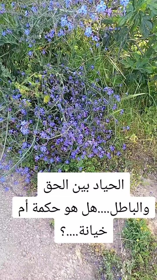 TikTok video thumbnail by im_alaa18