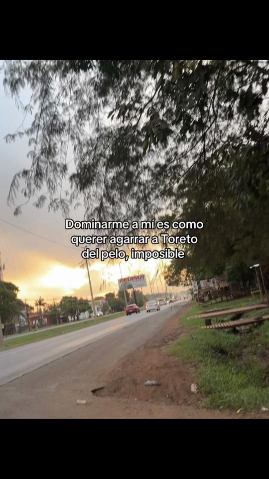 TikTok video thumbnail by 008_araa