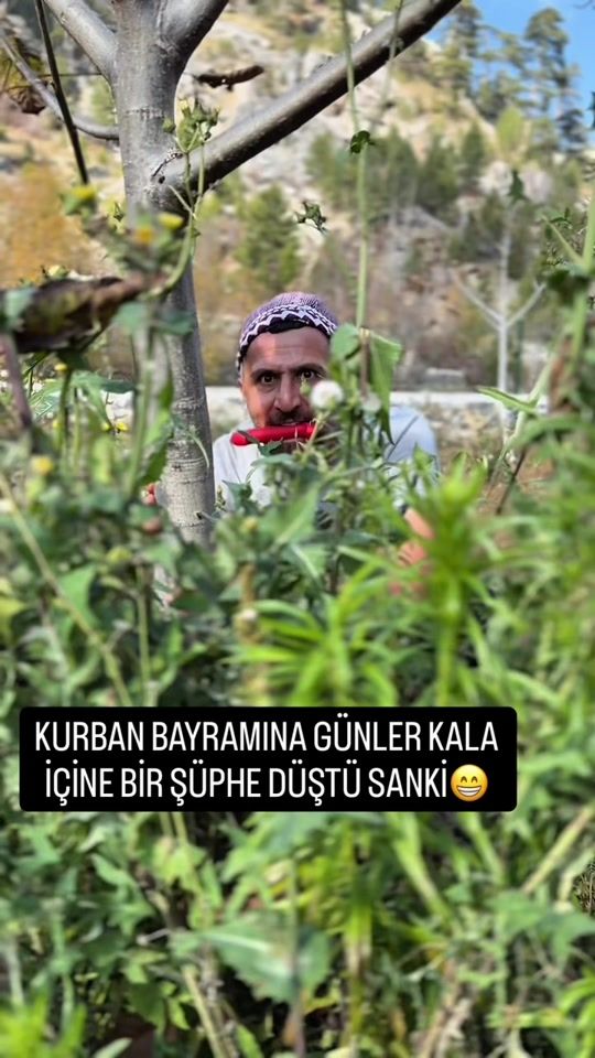 TikTok video thumbnail by veys_et07