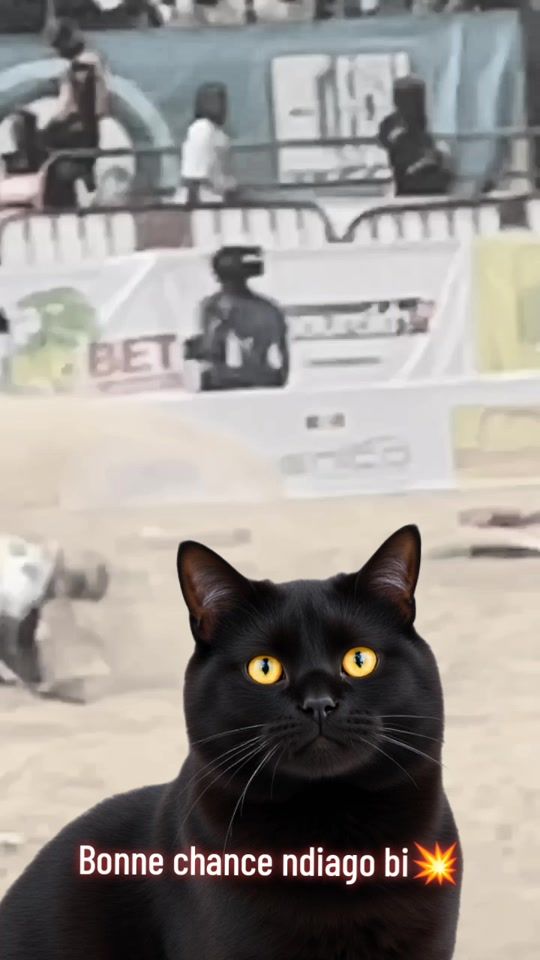 TikTok video thumbnail by siteu96