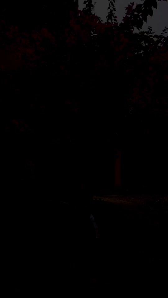 TikTok video thumbnail by anjan_larka1