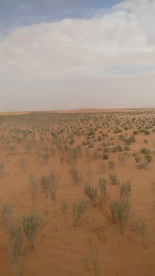 TikTok video thumbnail by zawi.lhaml