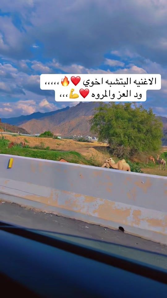 TikTok video thumbnail by algazala000
