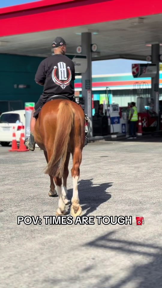 TikTok video thumbnail by hooflife.aotearoa