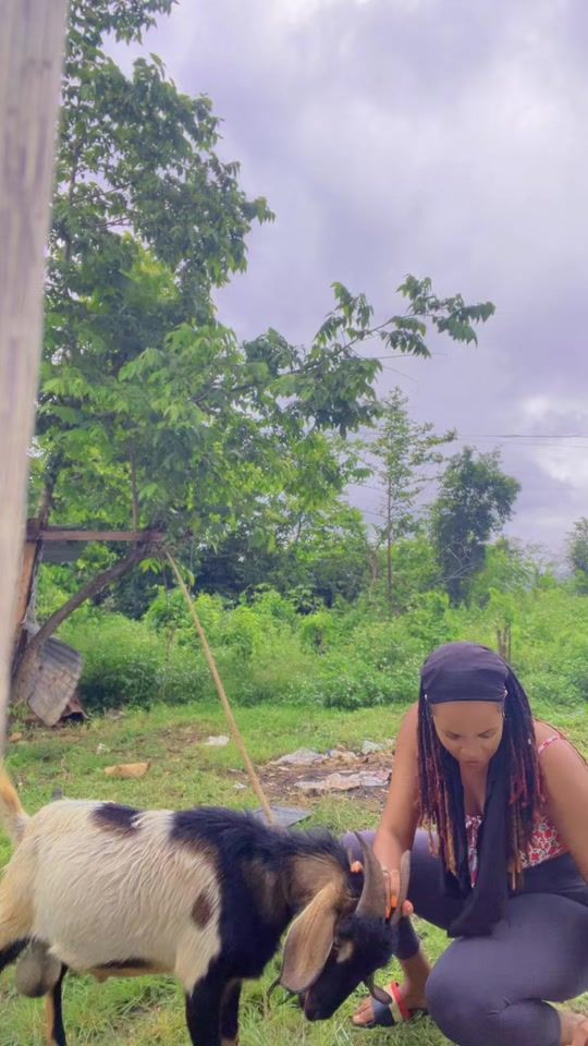 TikTok video thumbnail by prettyras01