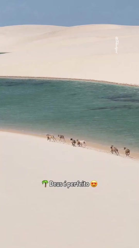 TikTok video thumbnail by tribodejeri
