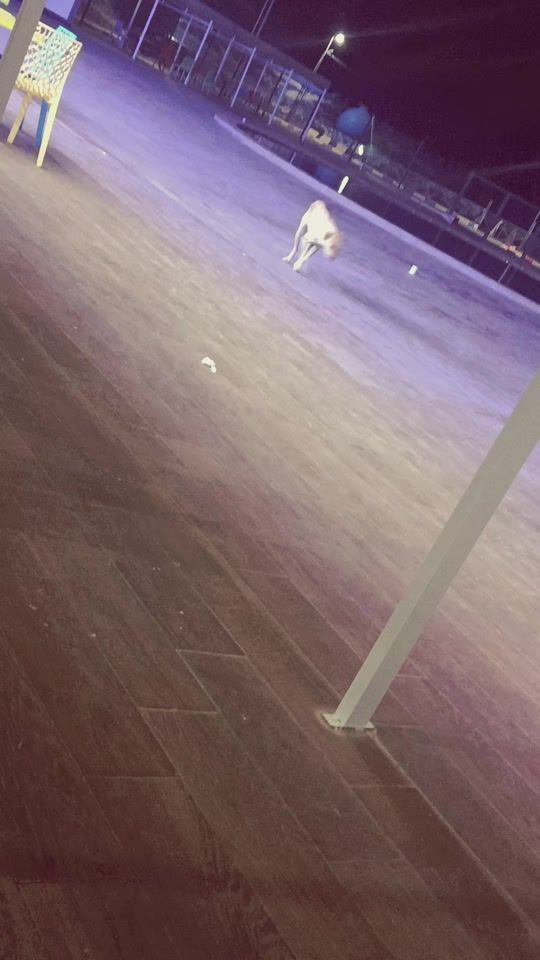 TikTok video thumbnail by so.sau60