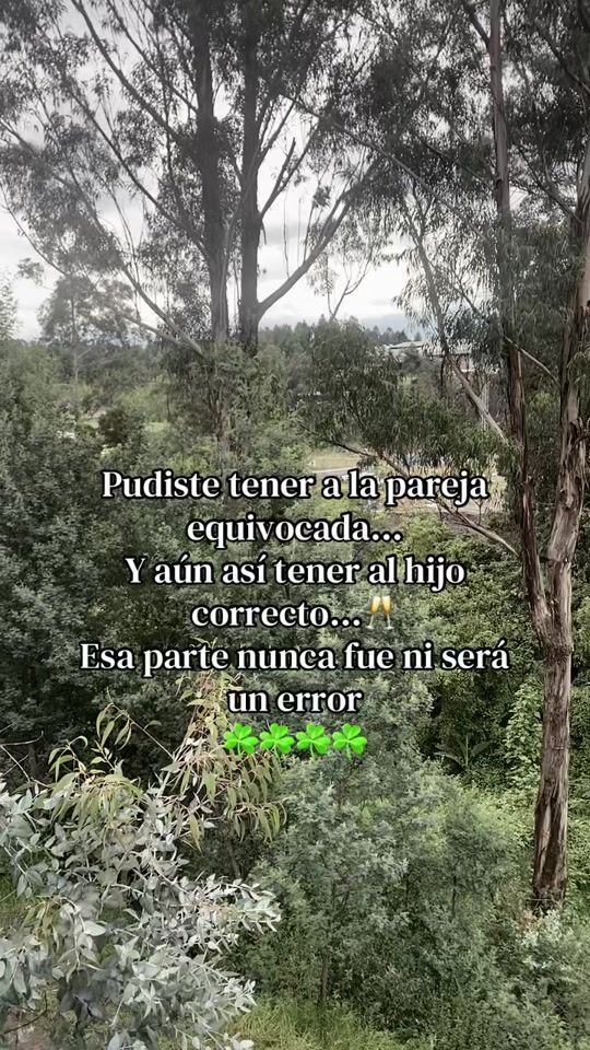 TikTok video thumbnail by silvana_leal6