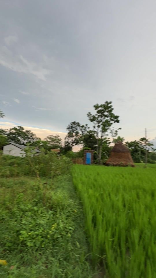 TikTok video thumbnail by kirangurau07