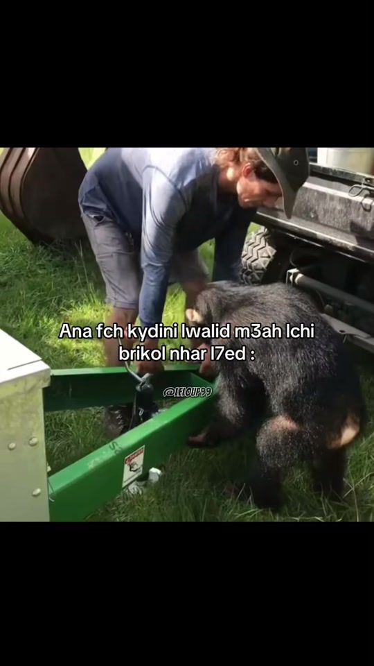 TikTok video thumbnail by leloup99_