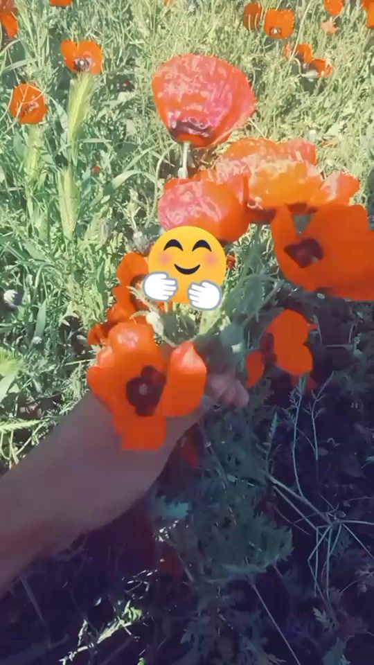 TikTok video thumbnail by user65707617872923556