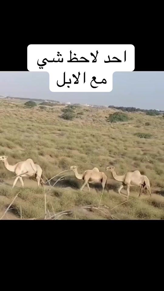 TikTok video thumbnail by kd30kd
